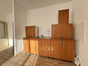 Prodej bytu 1+kk, Teplice, Prosetická, 36 m2