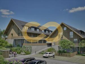 Prodej bytu 3+kk, Nové Hutě, 55 m2