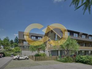 Prodej bytu 1+kk, Nové Hutě, 36 m2