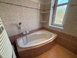 Pronájem rodinného domu, Ostrava, Křížkovského, 300 m2