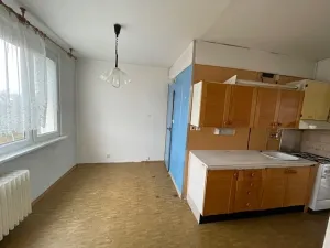 Prodej bytu 3+1, Ústí nad Labem, Stará, 66 m2