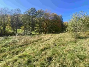 Dražba louky, Zdislava, 1384 m2