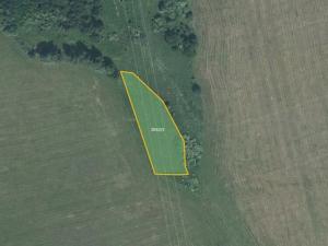 Prodej louky, Vítkov, 5637 m2