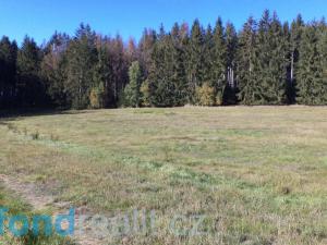 Prodej pozemku, Studená, 4992 m2