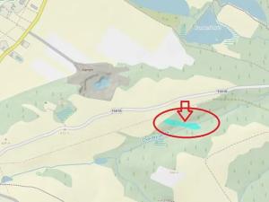 Prodej lesa, Nové Hrady, 5524 m2