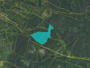 Prodej lesa, Kozárovice, 40085 m2