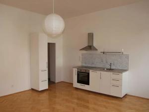 Pronájem bytu 1+kk, Brno, Vackova, 38 m2