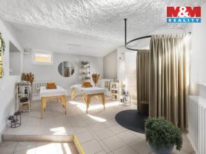 Prodej obchodního prostoru, Liberec - Liberec IV-Perštýn, Na Perštýně, 53 m2