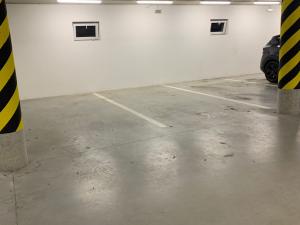 Pronájem garážového stání, Plzeň - Bolevec, U Velkého rybníka, 25 m2