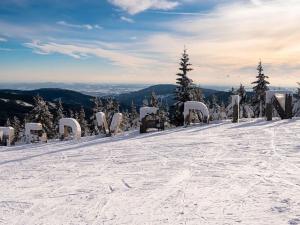 Prodej bytu 1+kk, Špindlerův Mlýn, 21 m2