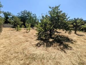 Prodej rodinného domu, Uherský Ostroh, 127 m2