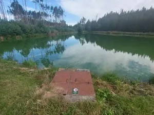 Pronájem rybníku, Komárovice, 9025 m2