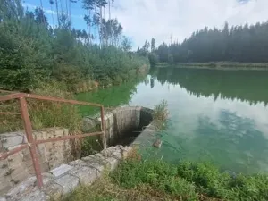 Pronájem rybníku, Komárovice, 9025 m2