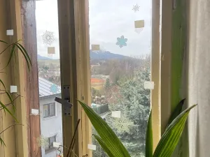 Dražba činžovního domu, Jablonné v Podještědí, 314 m2