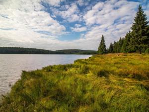 Prodej domu, Bedřichov, 180 m2