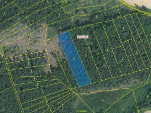 Dražba lesa, Milavče, 3695 m2