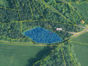 Dražba lesa, Kuřimany, 3255 m2