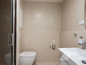 Pronájem bytu 1+kk, Zlín, Boněcký rybník, 38 m2