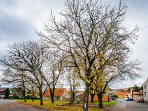 Prodej rodinného domu, Stará Huť, Pod Šimoňákem, 165 m2