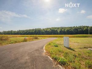 Prodej pozemku pro bydlení, Stavenice, 736 m2