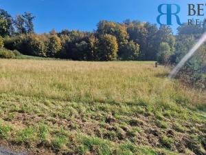 Prodej pozemku pro bydlení, Přerov, 14217 m2