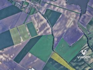 Prodej podílu pole, Šitbořice, 500 m2