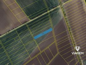 Prodej pole, Třibřichy, 2990 m2