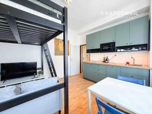 Pronájem bytu 1+kk, Praha - Karlín, Thámova, 24 m2