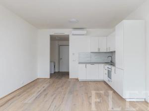 Pronájem bytu 1+kk, Praha - Karlín, Křižíkova, 36 m2