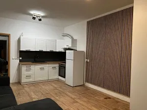 Pronájem bytu 1+kk, Ústí nad Labem, Baráčnická, 33 m2