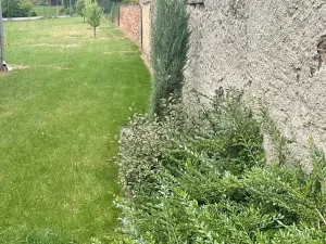 Prodej rodinného domu, Čistá, Tyršova, 130 m2