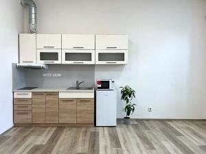 Pronájem bytu 1+kk, Brno, Lidická, 36 m2
