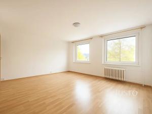 Prodej bytu 1+kk, Ústí nad Labem, Vinařská, 31 m2