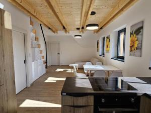 Prodej bytu 3+kk, Bedřichov, 87 m2