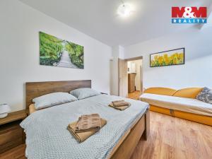 Prodej bytu 2+1, Černý Důl - Čistá v Krkonoších, 52 m2