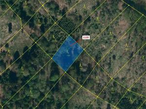Dražba lesa, Náměšť nad Oslavou, 931 m2