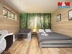 Prodej bytu 1+kk, Vrbno pod Pradědem, Žižkova, 31 m2