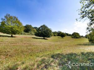 Prodej louky, Samopše, 14836 m2