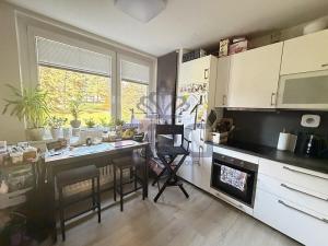 Prodej bytu 1+1, Brno - Kohoutovice, Prokofjevova, 36 m2