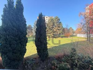 Prodej bytu 1+1, Brno - Kohoutovice, Prokofjevova, 36 m2