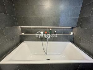 Pronájem bytu 3+kk, Olomouc - Nová Ulice, Milana Ticháka, 110 m2