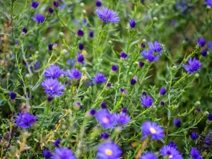 Prodej rodinného domu, Psáry, V Domkách, 114 m2