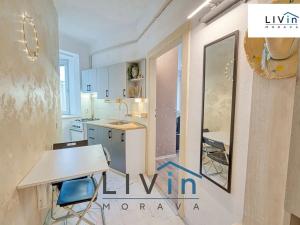 Pronájem bytu 1+1, Olomouc, Starodružiníků, 28 m2