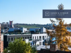 Pronájem bytu 1+kk, Brno, Chaloupkova, 30 m2