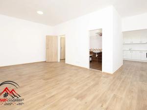 Pronájem bytu 1+kk, Ostrava, Křišťanova, 38 m2