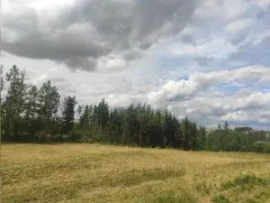 Dražba pozemku, Jihlava, 381291 m2