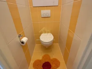 Pronájem bytu 2+kk, Strašice, 50 m2