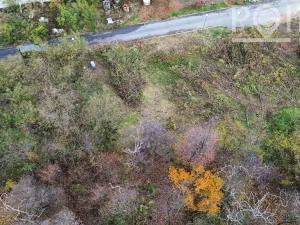 Prodej pozemku pro bydlení, Pustiměř, 1244 m2