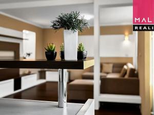 Prodej bytu 3+1, Ostrov, Hlavní třída, 76 m2