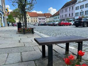 Prodej - jiné, Písek, Velké náměstí, 797 m2